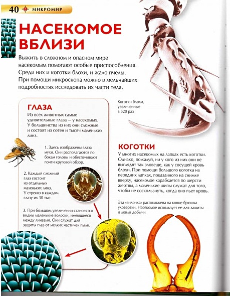 Микромир - фото 14