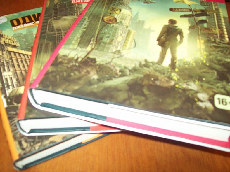 Выживший. Трилогия Книга 2 - фото 8