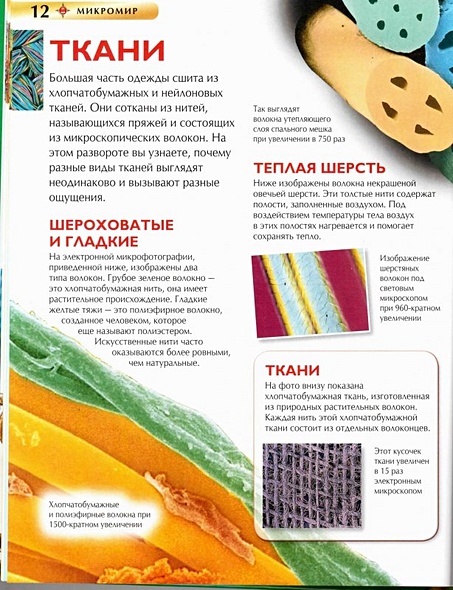 Микромир - фото 7