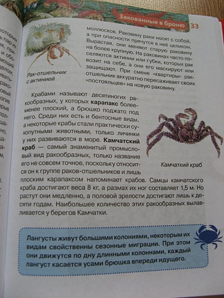 Подводный мир - фото 9