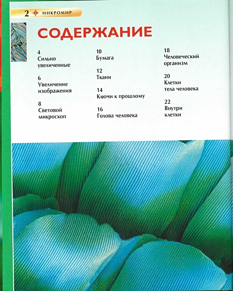 Микромир - фото 2