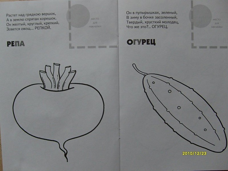 Раскраска с наклейками. Овощи. - фото 5