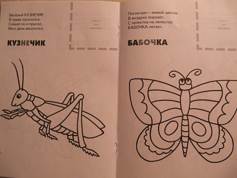 Насекомые. Раскраска с наклейками. - фото 10