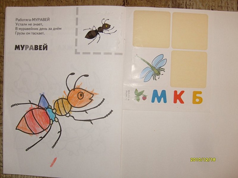 Насекомые. Раскраска с наклейками. - фото 6