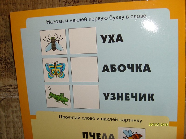 Насекомые. Раскраска с наклейками. - фото 7