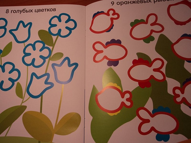 Разноцветный счет - фото 3