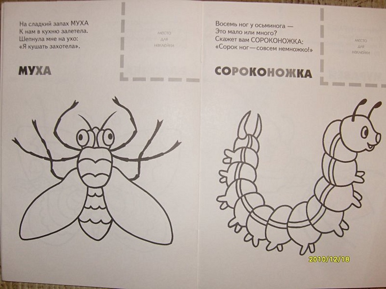 Насекомые. Раскраска с наклейками. - фото 5