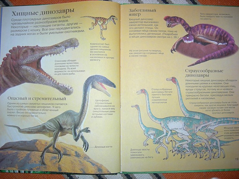 Детская энциклопедия динозавров - фото 9