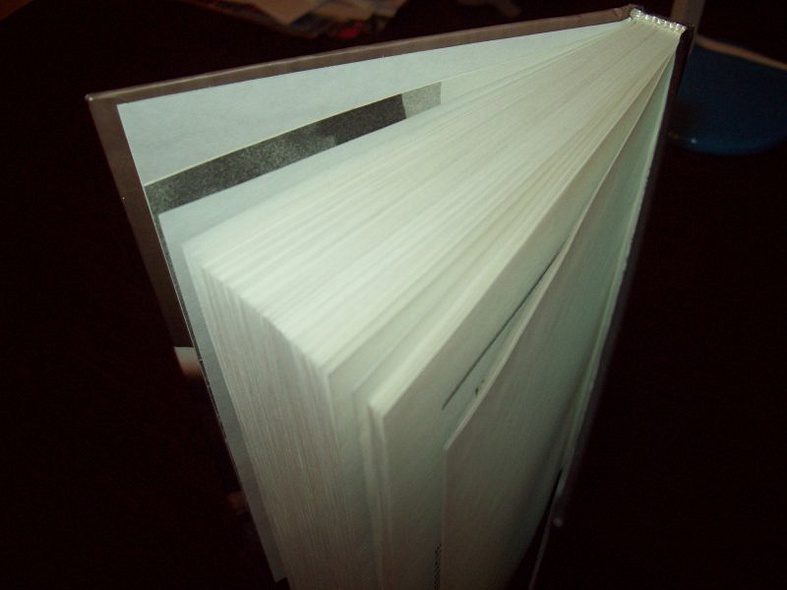 Плохая Мари - фото 10