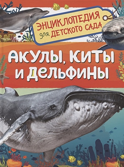Акулы, киты и дельфины. Энциклопедия для детского сада - фото 1