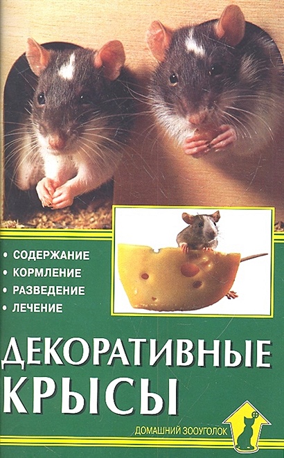 Декоративные крысы - фото 1