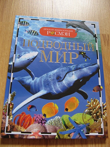 Подводный мир - фото 2