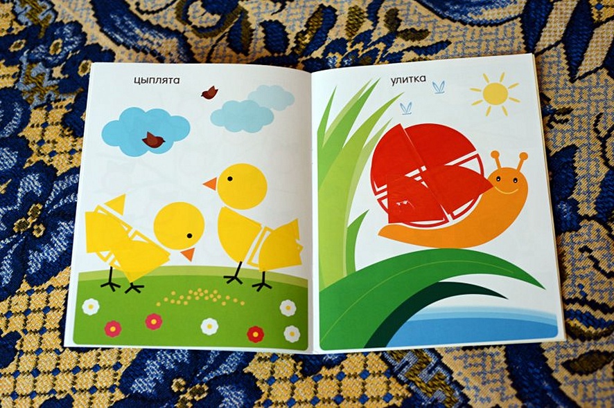 Улитка - фото 4