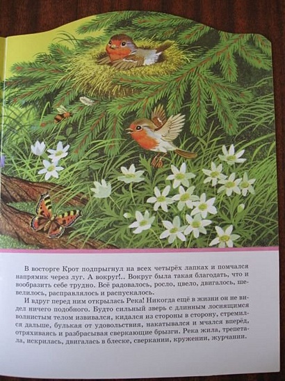 Мистер Крот и остальные - фото 15