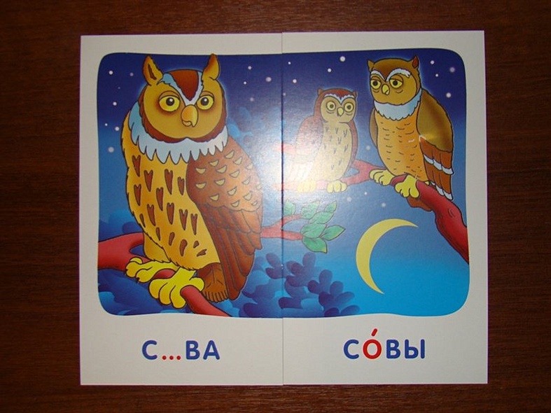 Сова. Гласные и согласные в корне слова. Набор карточек с картинками. Русский язык - фото 4