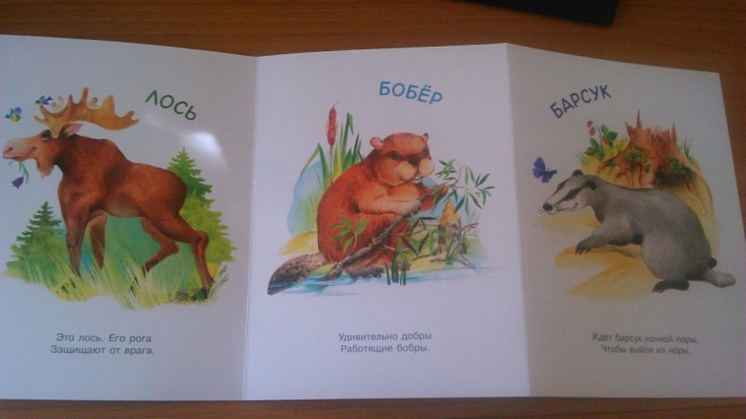 Книжки-гармошки. Это кто такой? - фото 3