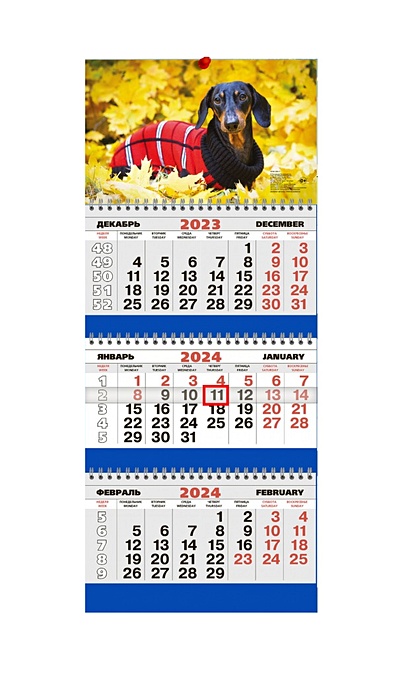 Календарь квартальный 2024г 293*180 "Такса" настенный, трёхблочный, спираль - фото 1