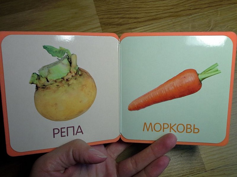 Овощи - фото 10