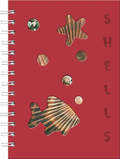 Тетрадь Be Smart, "Шеллс", 120 листов - фото 2