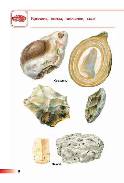 От земли до неба. Атлас-определитель. 1-4 класс. ФГОС 2021 - фото 6