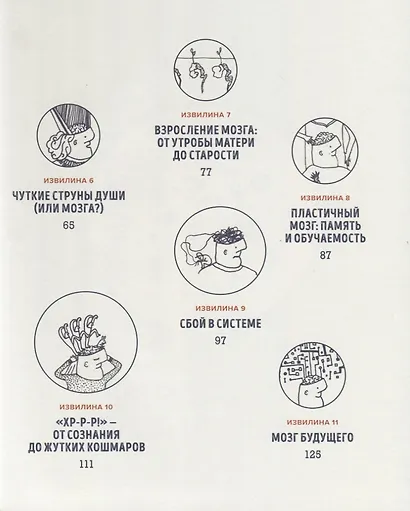 В моей голове. Как устроен мозг и зачем он нам нужен - фото 4