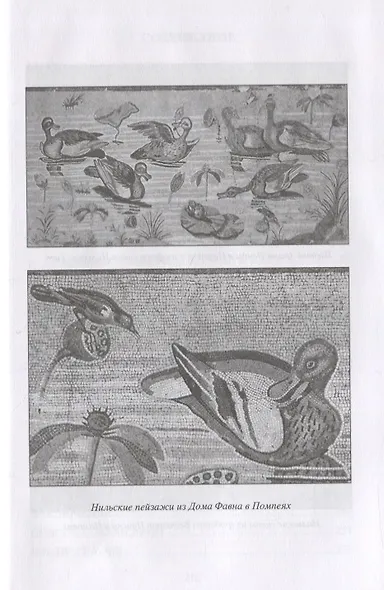 Египет и Рим - фото 5