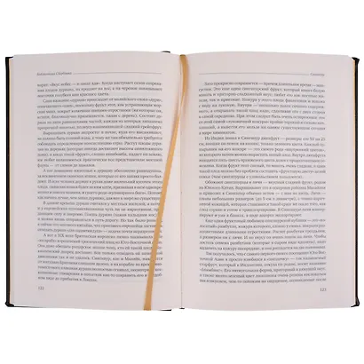 Сингапур. Восьмое чудо света. Том 28 - фото 4