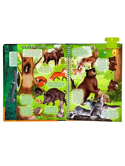 Атлас Земли. Животные. Интерактивная книга - фото 4