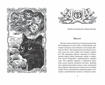 Коты-воители. Испытание Грача. Книга 1. Тени прошлого - фото 2