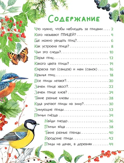 Птицы - фото 11