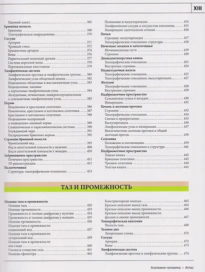 Анатомия человека: атлас - фото 10