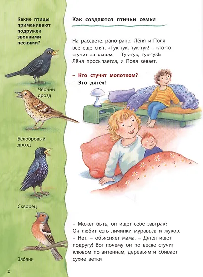Маленькая синичка и её друзья. Познавательные истории - фото 2
