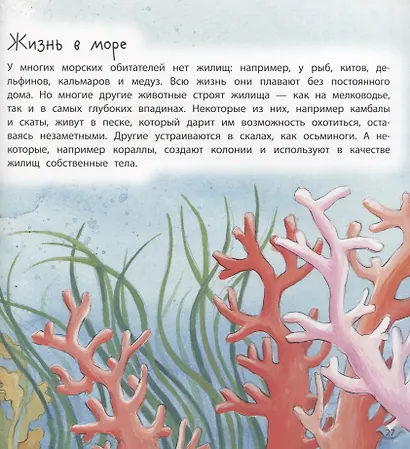 Где живут животные - фото 5