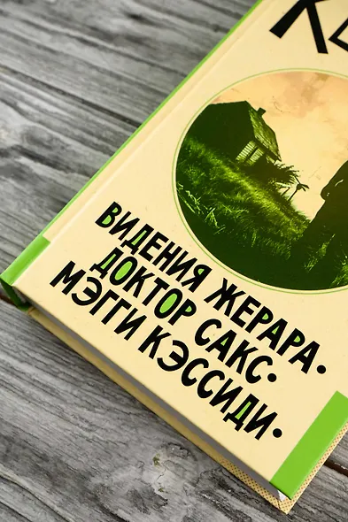 Видения Жерара. Доктор Сакс. Мэгги Кэссиди - фото 6