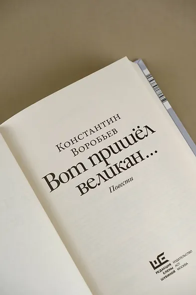 Вот пришел великан... - фото 8