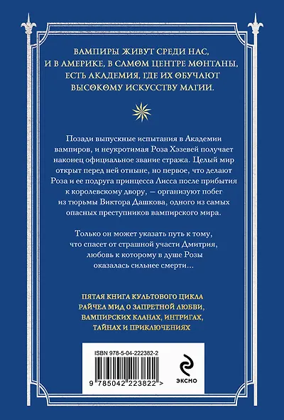 Академия вампиров. Книга 5. Оковы для призрака - фото 2