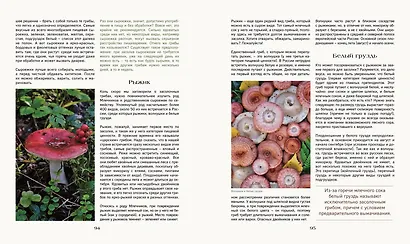 Тайная жизнь леса. Русская природа в фактах и зарисовках - фото 9