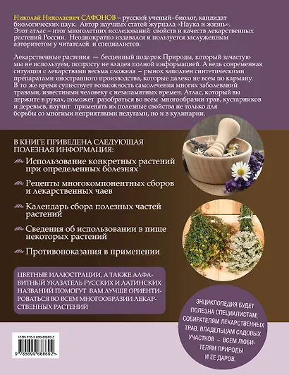 Лекарственные растения: иллюстрированный атлас - фото 2