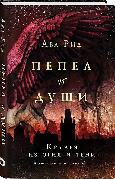 Крылья из огня и тени - фото 3