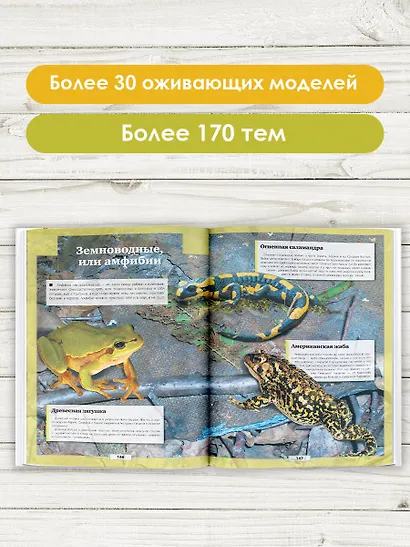 Животные - фото 4