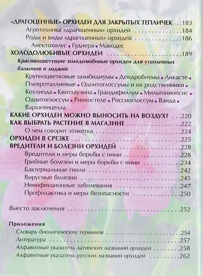 Орхидеи и особенности их выращивания - фото 3