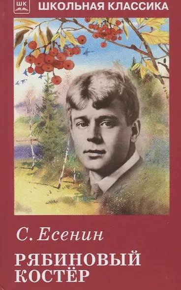 Рябиновый костёр - фото 1