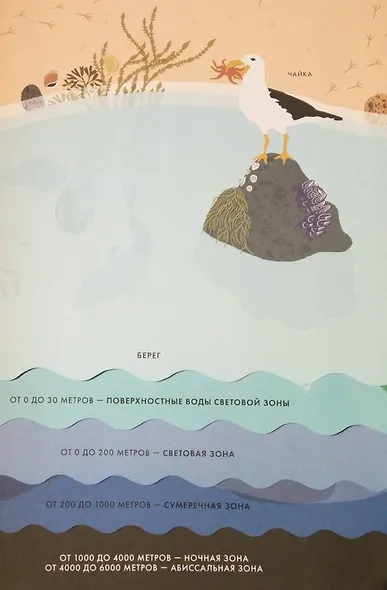 Океан - фото 4