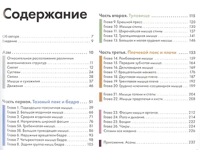 Ключевые мышцы йоги - фото 2