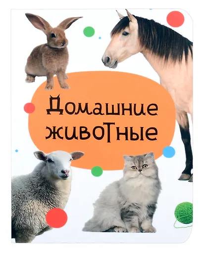 Домашние животные - фото 1