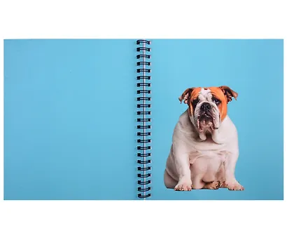 Тетрадь 96л кл. "Зоо микс" гребень, мел.картон, выб.лак. 2-я обложка-разделитель: мел.картон, ассорти - фото 4