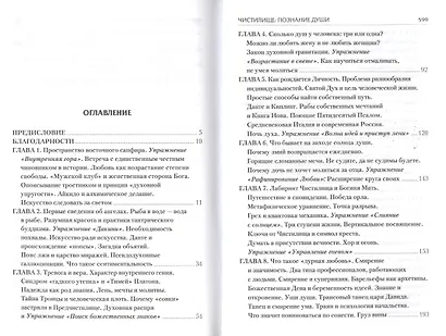 Чистилище Познание души (+DVD) (ВнутрТеатр) Данилин - фото 2