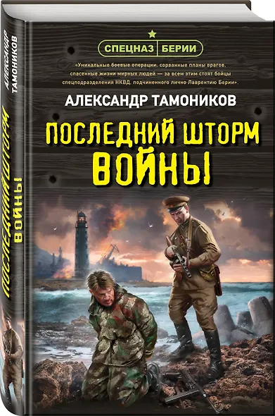 Последний шторм войны - фото 3