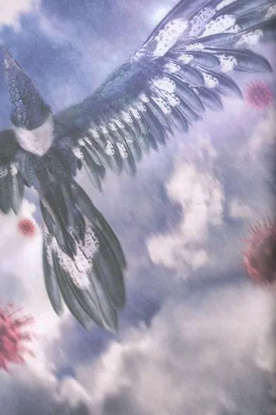 Постэпидемия - фото 4