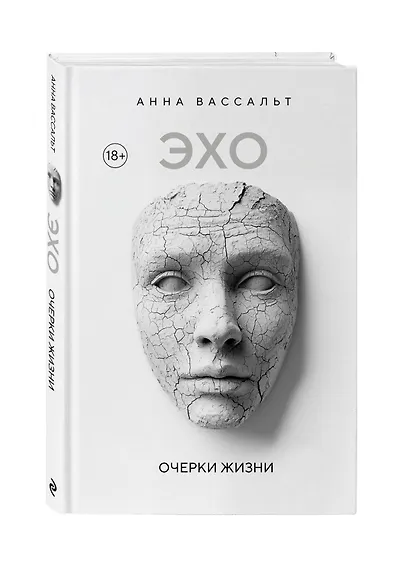 ЭХО. Очерки жизни - фото 3